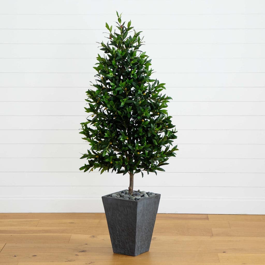 67” Olive Cone Topiary Artificial Tree in Slate Planter (Indoor/Outdoor) | Rental 67” Olive Cone Topiary Artificial Tree in Slate Planter (Indoor/Outdoor) | Rental